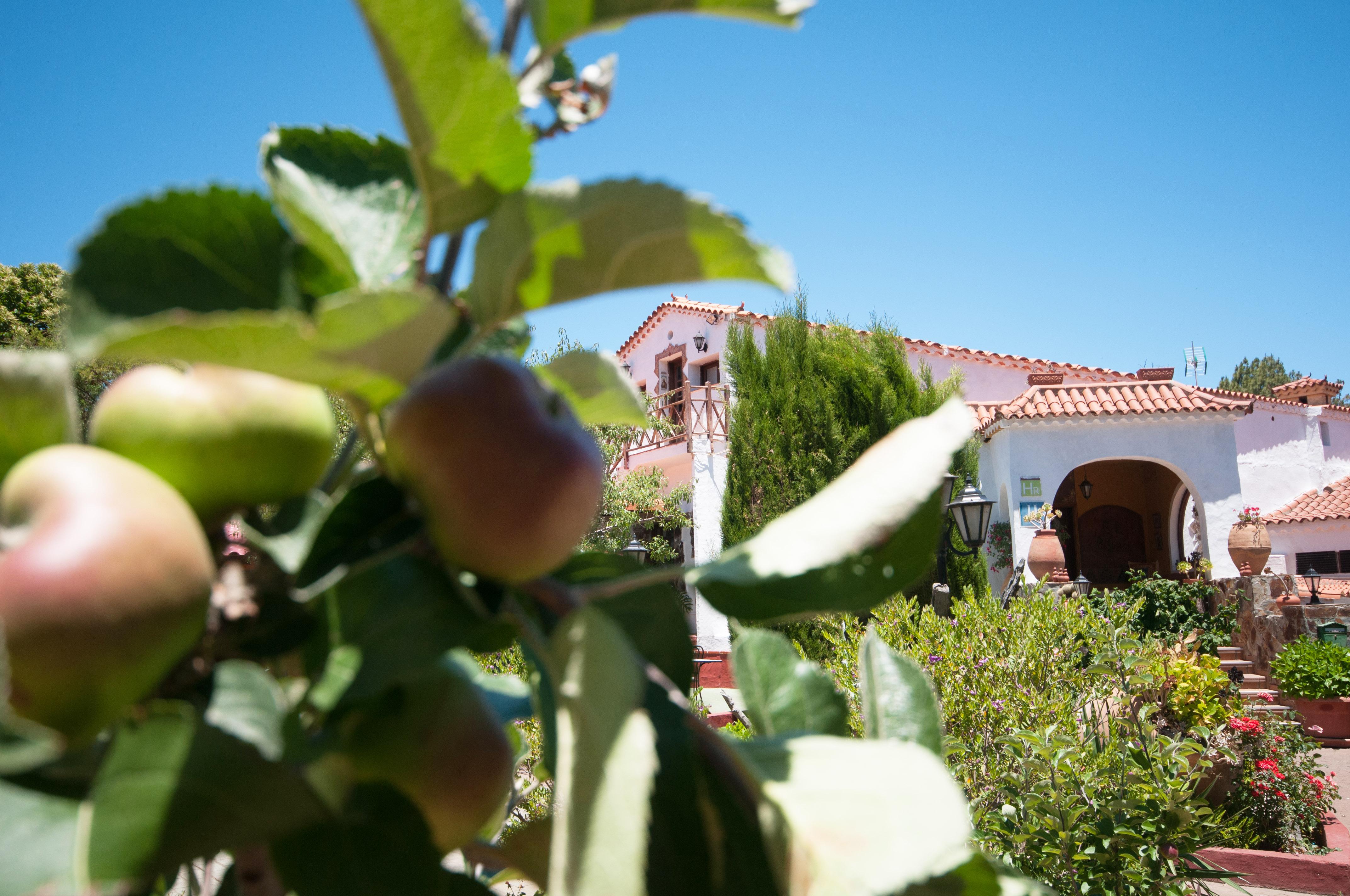 Hotel Rural El Refugio - Adults Only Крус-де-Техеда Экстерьер фото